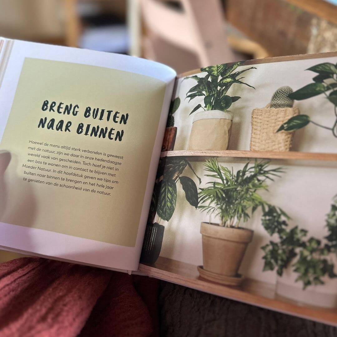Boek-no place like home - Afbeelding 11