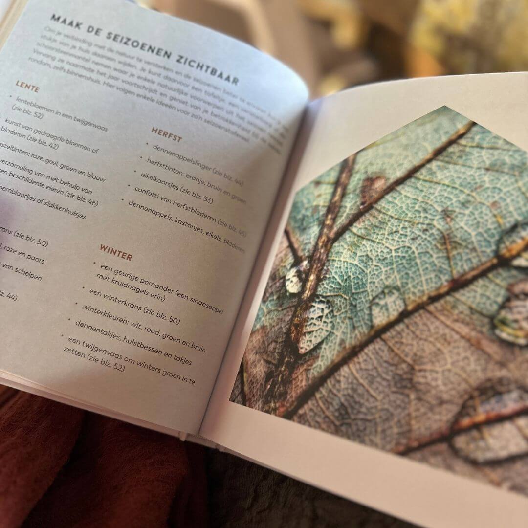 Boek-no place like home - Afbeelding 12
