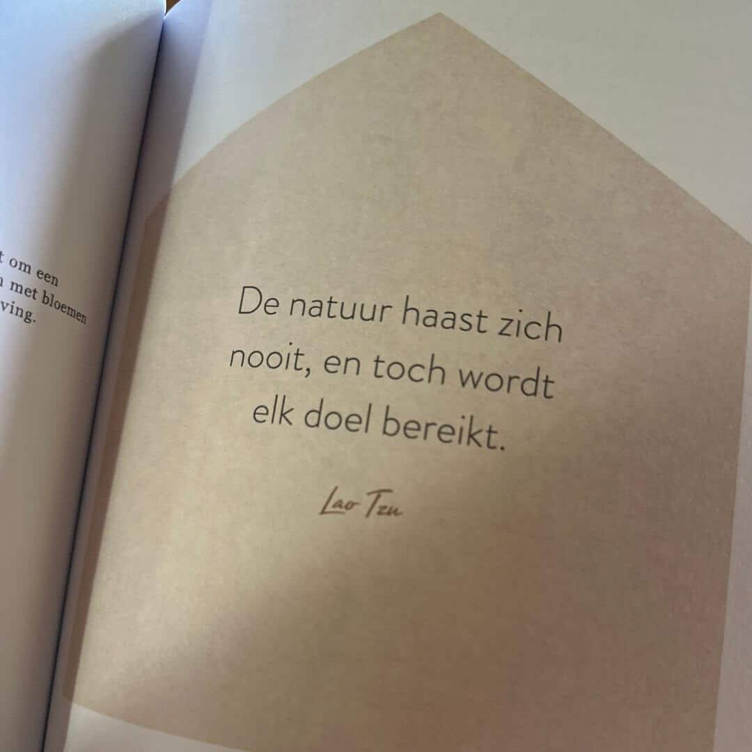 Boek-no place like home - Afbeelding 15
