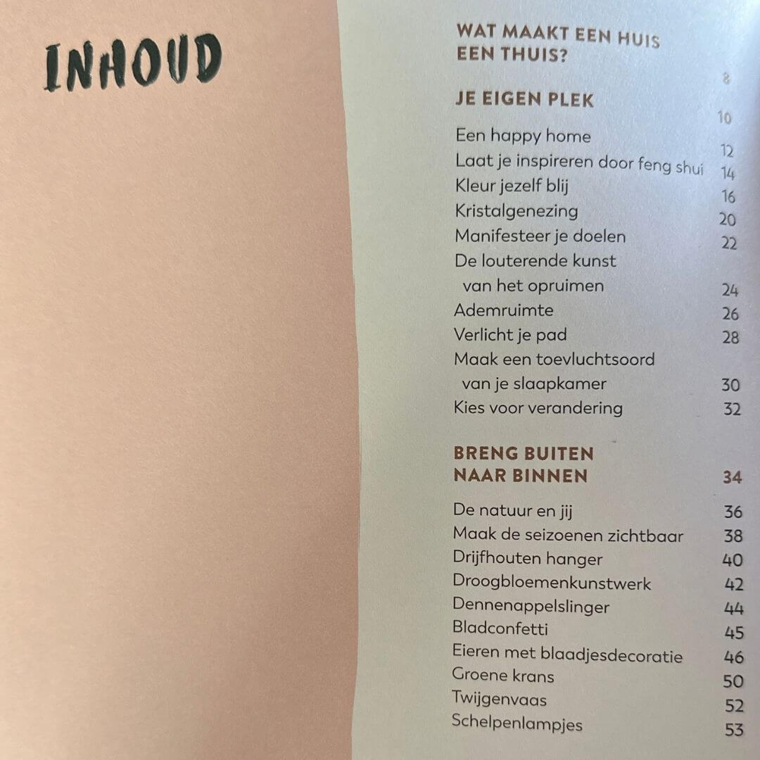 Boek-no place like home - Afbeelding 3