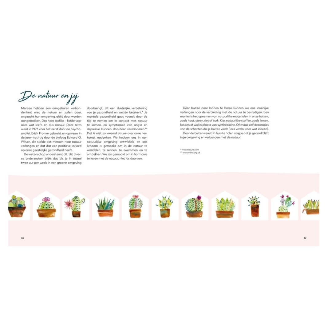 Boek-no place like home - Afbeelding 6